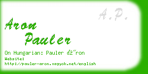 aron pauler business card